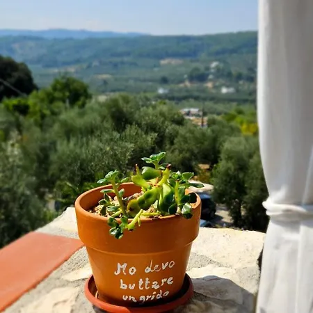 Zwei-zimmer-penthouse-wohnung Mit Terrasse Mit Meerblick Peschici